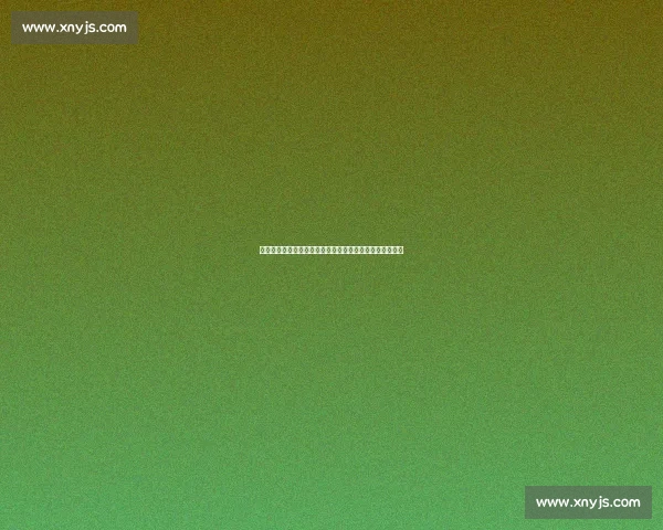 欧冠焦点战曼联对阵红牛全场回顾攻防博弈与关键瞬间解析